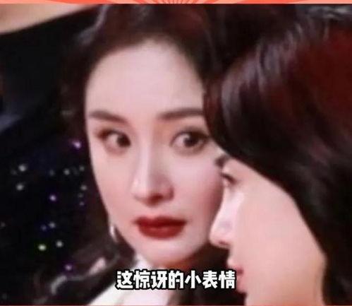 娱乐圈的瓜吃不过来了